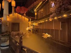 -叶叶菩提(太原别墅店)