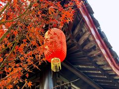 -秋霞圃