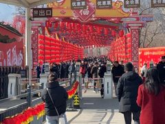 -北京凤凰岭