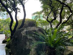 -荔枝公园(福田区)