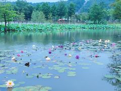 -苏州上方山国家森林公园