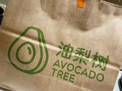 -油梨树AVOCADO TREE(望京店)