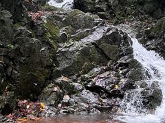 -本溪汤沟绿石谷森林公园