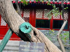 -北京鲁迅博物馆(北京新文化运动纪念馆鲁博馆区)