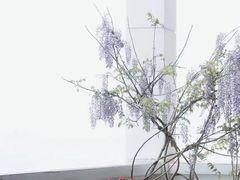 -EPOQUE·一刻花店(兴业太古汇店)