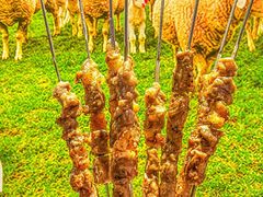 -诸锣记烤串·锦州烧烤(淘金店)
