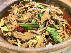 -天辣(金桥啦啦宝都店)