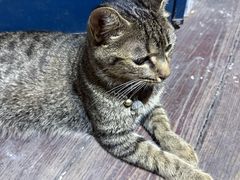 -欧提汗·新疆餐厅·清真(银都路店)