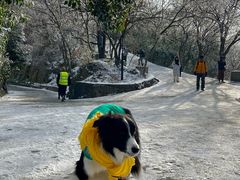 -紫金山山顶公园