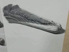 -八哥美术·成人美术画室(总校区)