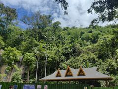 -西双版纳原始森林公园