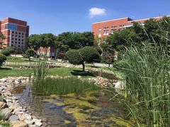 -东北师范大学(净月大街校区)