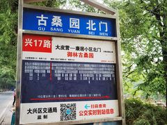 -御林古桑园