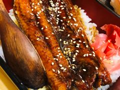 -鲔屋寿喜烧