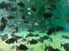 -福州罗源湾海洋世界旅游区