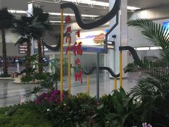 -福州长乐国际机场