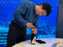 -亚特兰蒂斯•OSSIANO奥西亚诺海底餐厅