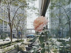 -DECAMERON十日谈(前海嘉里中心店)
