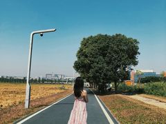 -光明小镇欢乐田园