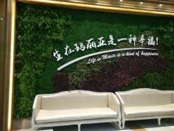 -玛丽亚妇产医院