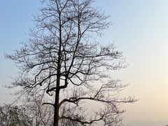 -敬亭山风景名胜区