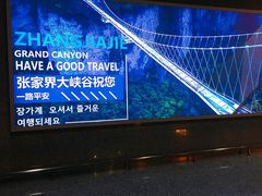-张家界荷花国际机场