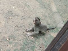 -石家庄市动物园