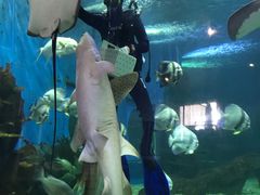 -石林冰雪海洋世界