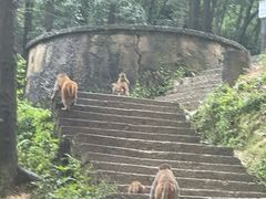 -黔灵山公园-南门售票处