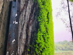 -美丽南方·老木棉匠园·团建烧烤·烤全羊