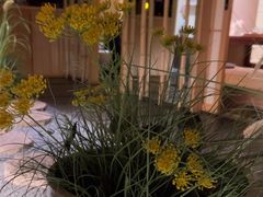 -梅间堂茶馆(绿地缤纷城店)