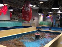 -日进一片海.生腌海鲜火锅.宵夜烧烤(三里屯总店)