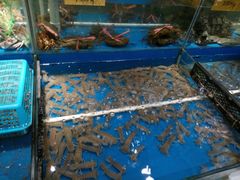 -海蓝海鲜馆(五四北店)