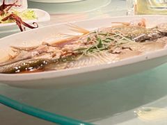 清蒸白条-春暖花开(西溪店)