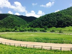 -大水川景区