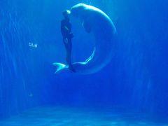 -多彩贵州城极地海洋世界