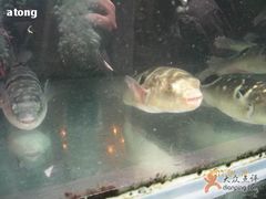 KIF_2660-沈厅酒家(周庄店)