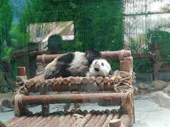 -灵玲国际马戏城