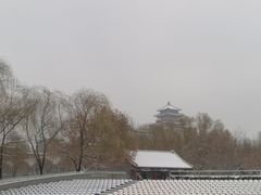 -莲花池公园
