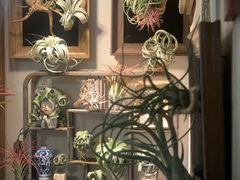 -Rabbit Cafe私房西餐甜点咖啡(栖霞路店)