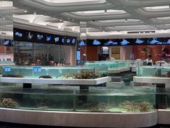 -苏州吴中白金汉爵大酒店