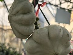 -盈香心动乐园