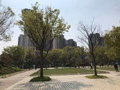 -新江湾城公园