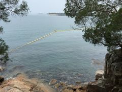iphone_upload_pic-南丫岛