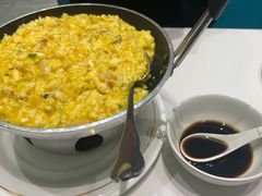 -丁老爷子苏香圆