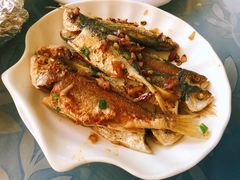 -洞背山庄(洞背院区式管理小区店)