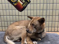 -伍哥厨房(新滘东路店)