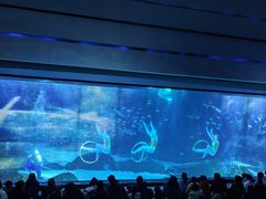-海合安成都极地海洋公园