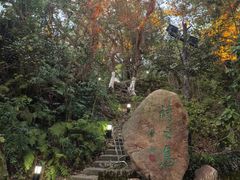 -江心屿景区
