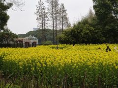 -圩墩遗址公园